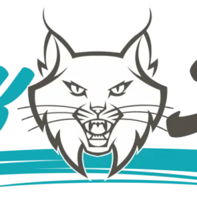 Lynx Studios
