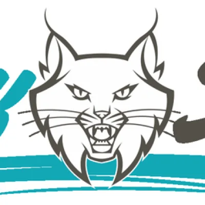 Lynx Studios