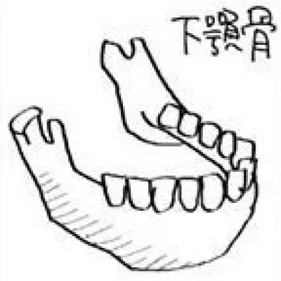 Matano Hibiki