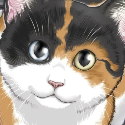 Nadatani Wataru