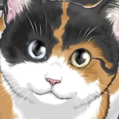 Nadatani Wataru