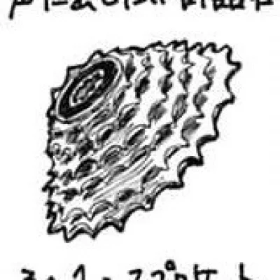 Naoki Akutsu
