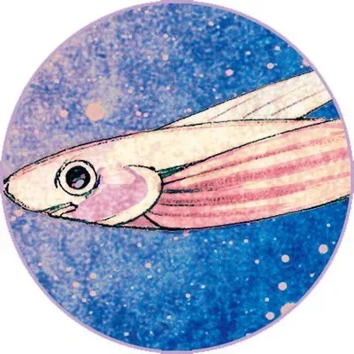 Nodoka Tsurimaki