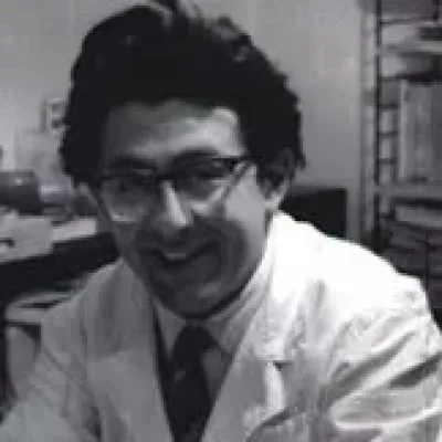 Pino Zac