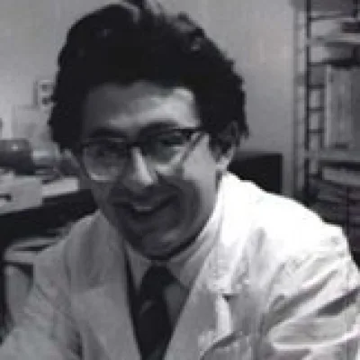 Pino Zac