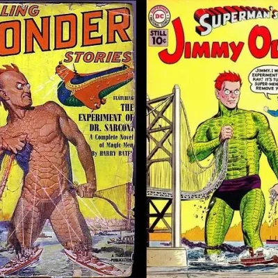 Pulp Cover Reused