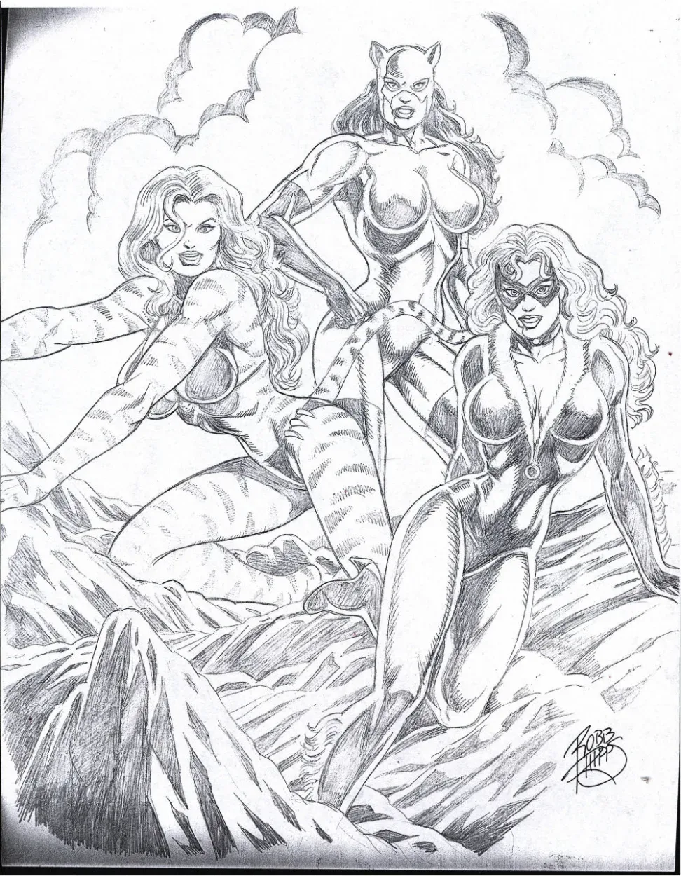 Robb Phipps