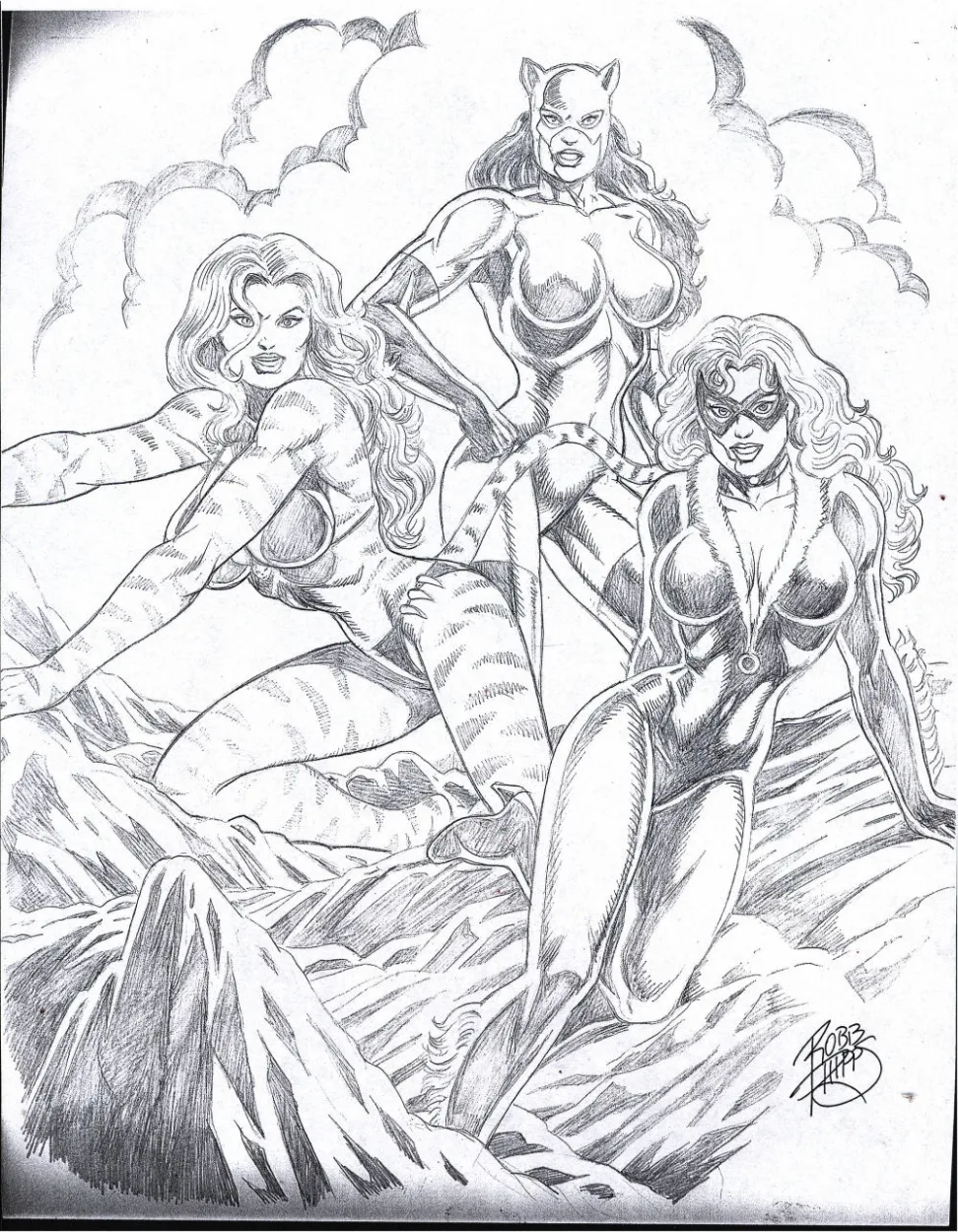 Robb Phipps