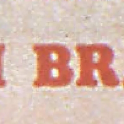 Sam Brant