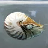 Tsuwabuki Eichi