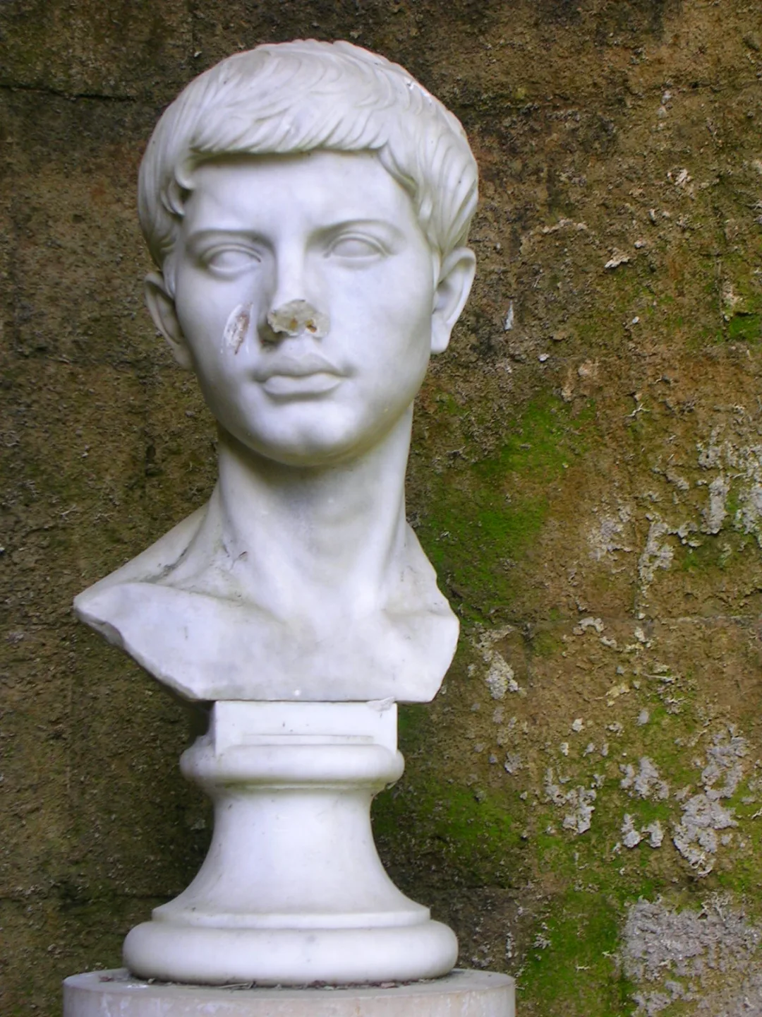 Virgil