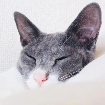 Yasuko
