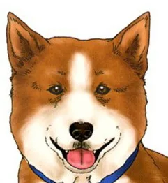 Yukiya Sakuragi