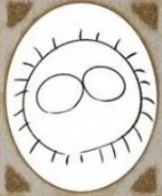 Yushin Kuroki