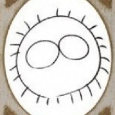 Yushin Kuroki