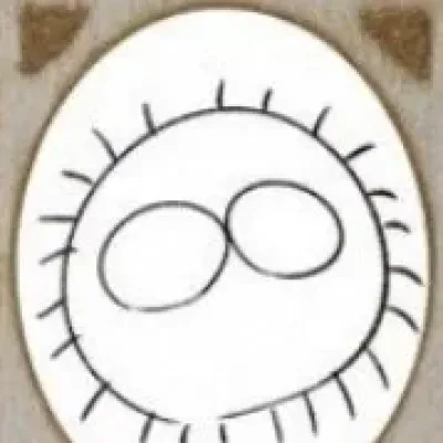Yushin Kuroki