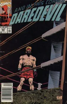 Cover of Cover B Newsstand Edition