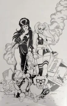 Cover of Amanda Conner Blind Bag B&W Virgin Variant