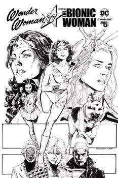 Cover of Cvr D 25 Copy Incentive