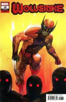 Cover of Alex Maleev Variant Cover
