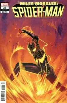 Cover of Sara Pichelli Variant