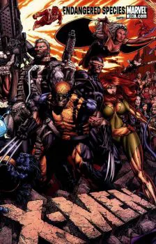 Cover of David Finch Variant