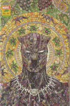 Cover of Variant Joshua Cassara Stormbreakers Cover