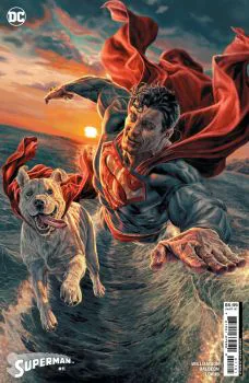Cover of Lee Bermejo Variant
