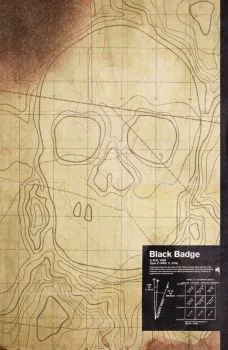 Cover of Shaw Incentive Variant