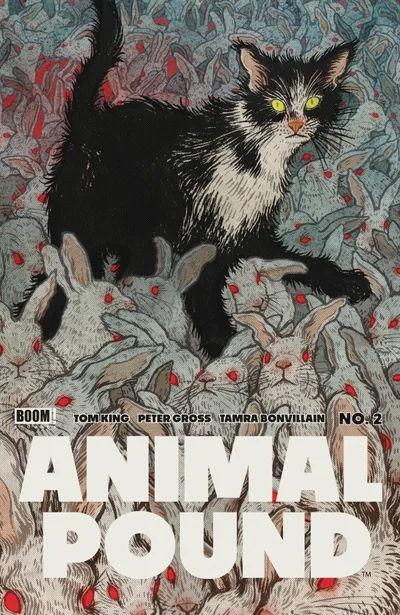 Cover of Cover B