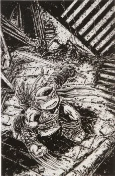 Cover of Clover Press/Kevin Eastman Studios Variant