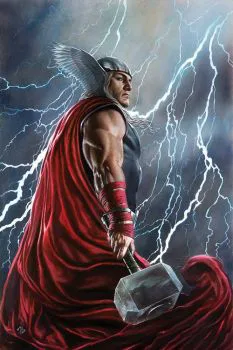 Cover of Cover D