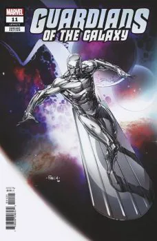 Cover of Cover B Incentive David Finch Silver Surfer Variant Cover