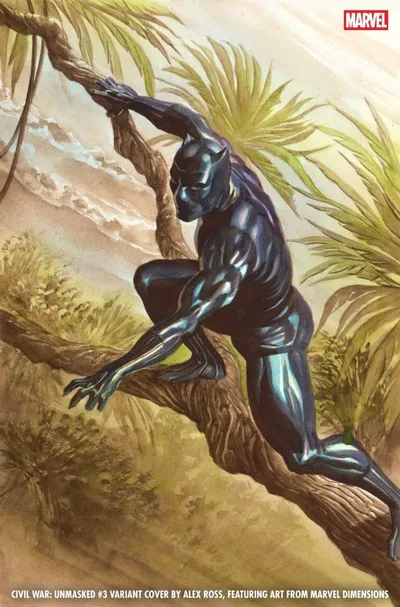 Cover of Alex Ross Marvel Dimensions Virgin Variant