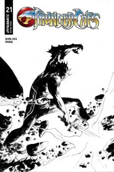 Cover of Jae Lee B&W Variant