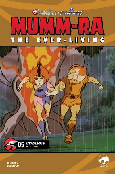 Cover of Animation Art Variant