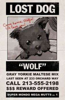Cover of Cover G Juan Gedeon Lost Dog Incentive Variant (1:10)