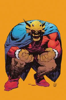 Cover of Cover D Hayden Sherman Next Level Variant