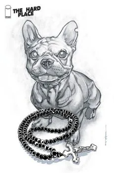 Cover of Cover C