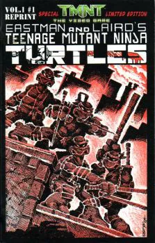 Cover of Cover G Special TMNT The Video Game Limited Edition