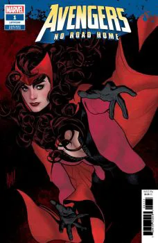 Cover of Incentive Adam Hughes Variant Cover