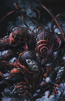 Cover of Cover D