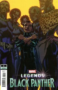 Cover of Variant Brian Stelfreeze Cover