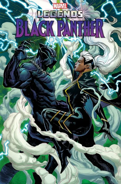 Cover of Variant Joshua Cassara Stormbreakers Cover