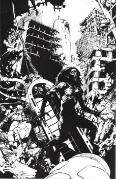 Cover of Cover D