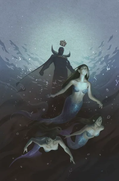 Cover of Cover D