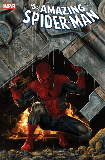 Cover of Lee Bermejo Amazing Visions Variant