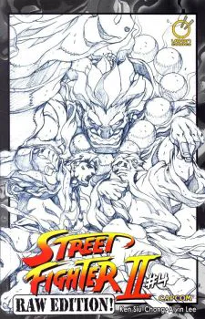 Cover of Cover D Raw Edition