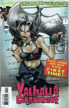 Cover of Cover B