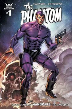 Cover of Cover D 25 Copy Salas Color Incentive